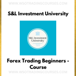 S&L Investment University - Forex Trading Beginners - Course