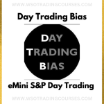 DayTradingBias The Emini S&P Day Trading - Course Proof