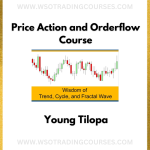 Young Tilopa: Price Action & Orderflow - Course