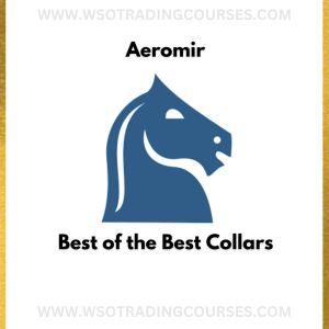 Aeromir – Best of the Best Collars - Course