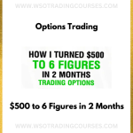 Options Trading – $500 to 6 Figures in 2 Months - Course