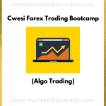 Cwesi Forex Trading Bootcamp Algo Trading - Course