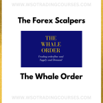 The Forex Scalpers – The Whale Order - Course
