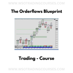 The Orderflows Blueprint Trading - Course