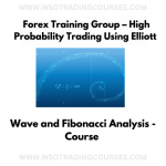 Forex Training Group: High Probability Trading Using Elliott Wave & Fibonacci Analysis - Course