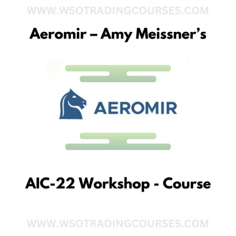 Aeromir – Amy Meissner’s AIC-22 Workshop - Course