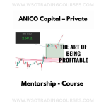 ANICO Capital – Private Mentorship - Course