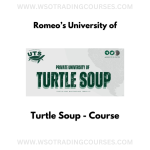 Romeo’s University of Turtle Soup - Course