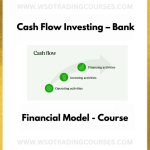 Cash Flow Investing – Bank Financial Model - Course