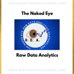 The Naked Eye – Raw Data Analytics - Course
