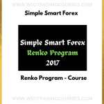 Simple Smart Forex Renko Program - Course