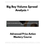 Big Boy Volume Spread Analysis + Advanced Price Action Mastery Course