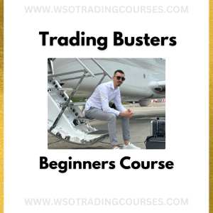 Trading Busters Beginner Trading - Course