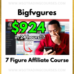 Bigfvgures Copy My EXACT Process To Make $100’s Daily From 100% Free Traffic Using TikTok & Instagram - Course