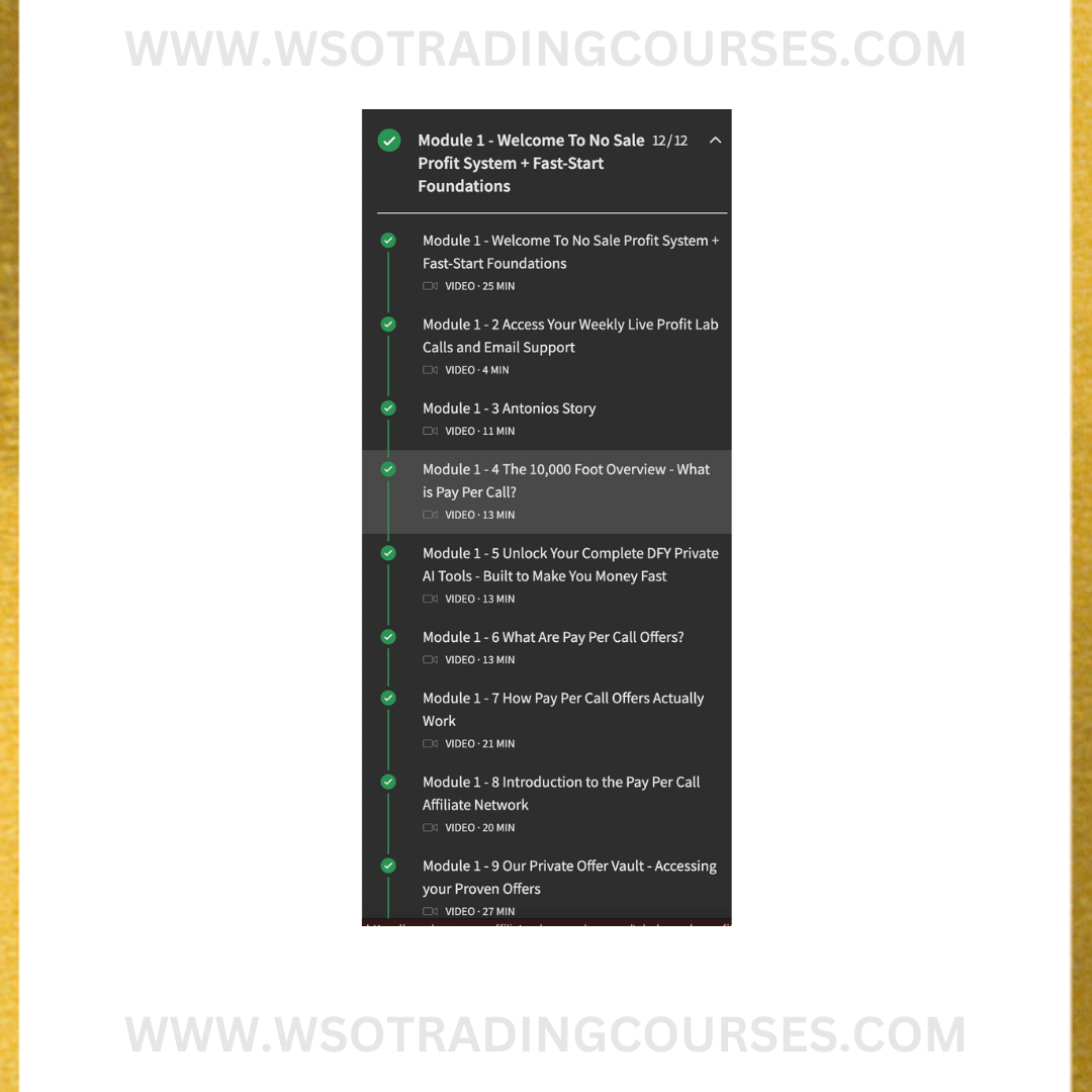 Chris Reader No Sale Profit System - Course Proof 2