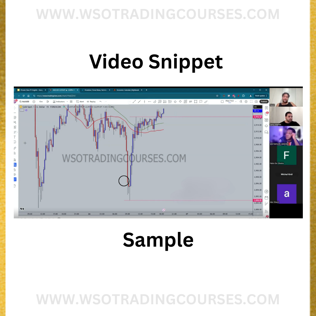 Sam9y Full Private Mentorship 2025 - Course Proof Sample