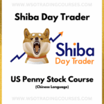 Shiba Day Trader US Penny Stock - Course