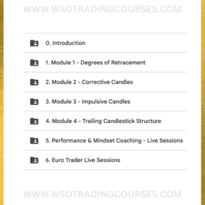 The Euro Trader Mentorship Program - Course Proof