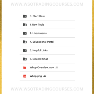 Jake Ricci: RakeTrades Futures Trading - Course