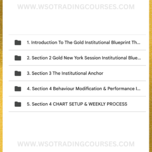 Stacey Burke Gold Apex Extraction New York Session Institutional Blueprint – Course Proof