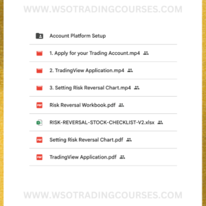 Sean Allison Reliable Trading Ultimate Risk Reversal - Course Proof