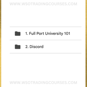 Full Port University FPU VIP - Trading Course Proof