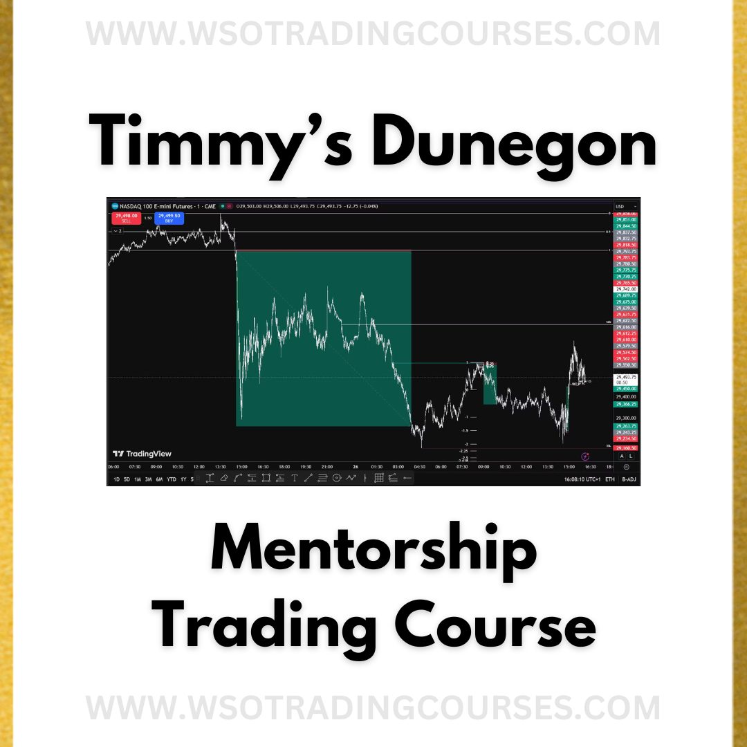 Timmy’s Dunegon Mentorship – Trading Course